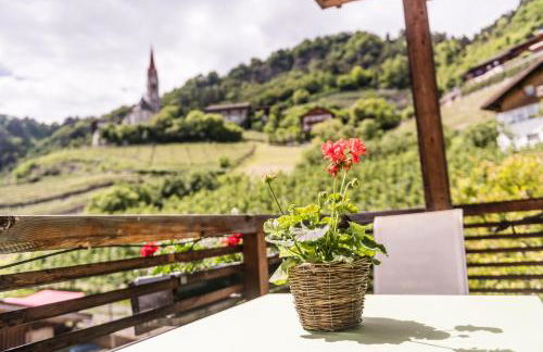 Bachmannhof - Foto 16