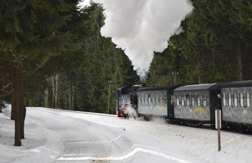 Ferienhaus Kohlmeise - Foto 11