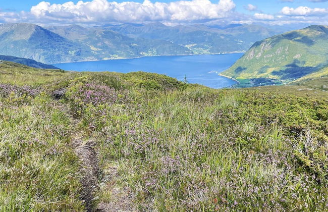 12 Person Holiday Home in Davik - Foto 30