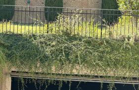 Villa Simona - Foto 13