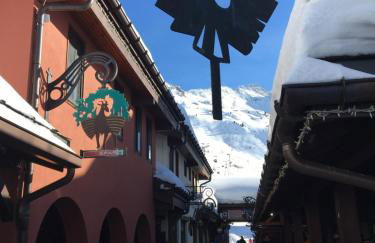 DUPLEX 6P A BELLE-PLAGNE (2050 m), SKIS AUX PIEDS, EN PLEIN CŒURS DE LA STATION RESIDENCE LE BERYL. - Foto 7