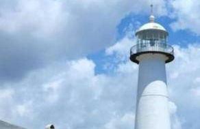 Hotty Toddy - Foto 77