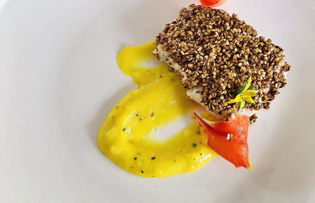 Holiday rental in Havana with terrace - Photo 50