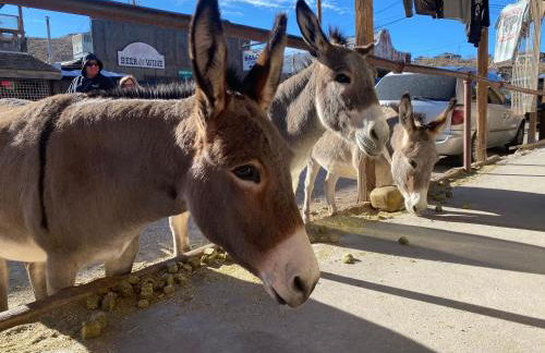 Cozy Desert home, Stunning Views, Peaceful Vibes Near Laughlin - Foto 41