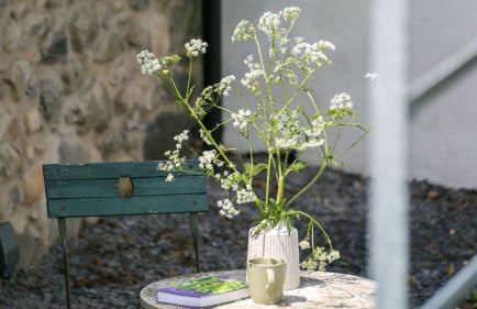 Bwthyn Ysgubor - Foto 61