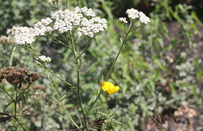 Mountain View Resort - Foto 25