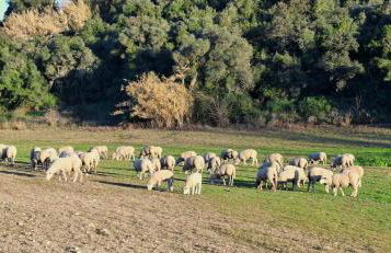 Casa das Laranjeiras - Foto 28