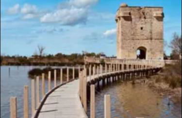 Studio mi casa es su casa - Photo 27