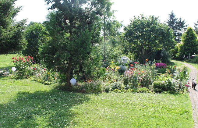Gemutliche Ferienwohnung mit Garten in Walkendorf - Foto 19