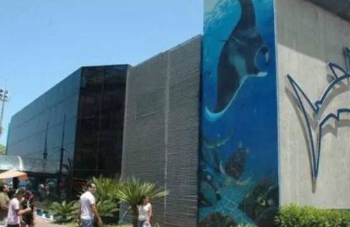 LINDO APARTAMENTO NA QUADRA DA PRAIA EM SANTOS - Photo 37