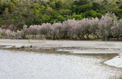 Family-friendly apartments with swimming pool Podgradina, Novigrad - 6198 - Photo 6