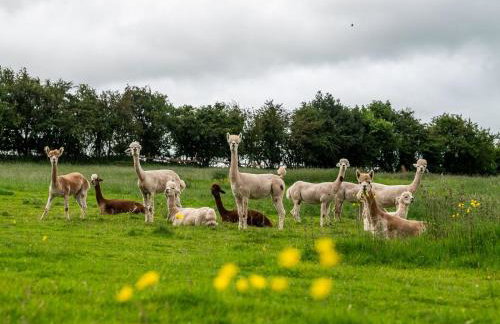 3 Bed in Ashbourne oc-93331 - Foto 39