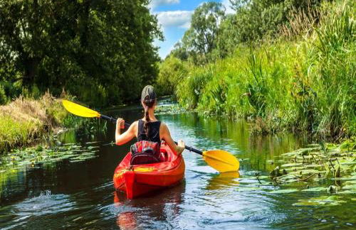 Ferienanlage im Mueritz-Nationalpark in Mirow - Photo 19