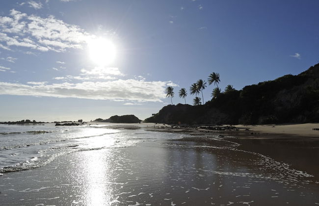 Chocolate com Pimenta Edifício - Foto 63