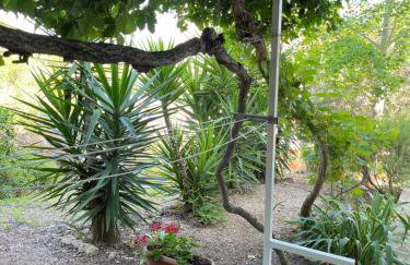 Apartments Despotović - Photo 19