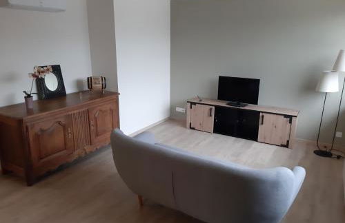 Villa le Menhir 4 Ch au Bord du Lac et Terrasse - Foto 8