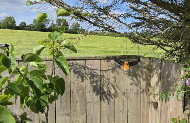 Caesars Lodge - Photo 34