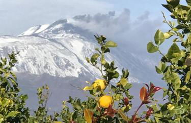 Vista Mare Etna - Foto 28