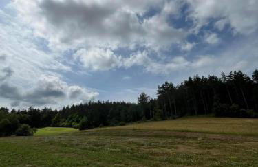 Domki w Bieszczadach Nowa Zelandia - Photo 54