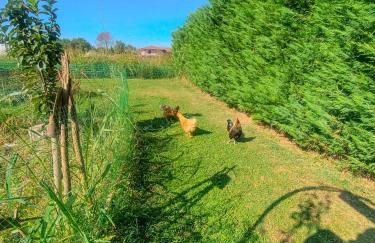 Villa Nides - Foto 33