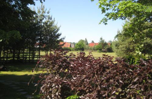 Finnhütte Fisch - Wittenbecker Tannen - Foto 10