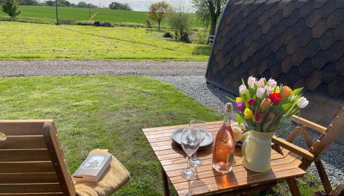 Waterpump Pod for 2 adults with ensuite in the Suffolk Countryside - Foto 2, Garden, Garden view