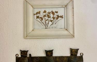 Casa Alina - Ischia Ponte - Foto 20