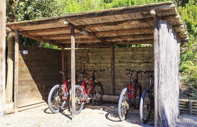 Colto Dei Pallanti in Radda in Chianti - Foto 12