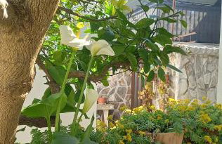 Apartments Donda - Photo 50