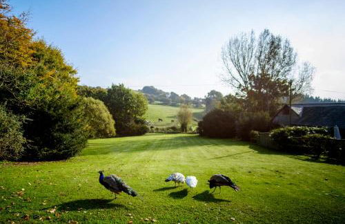 The Garlic Farm - Photo 77