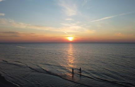 Domki w Naturze - Foto 44