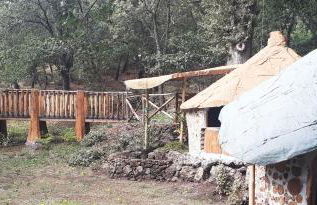 Boscoscuro - Foto 24