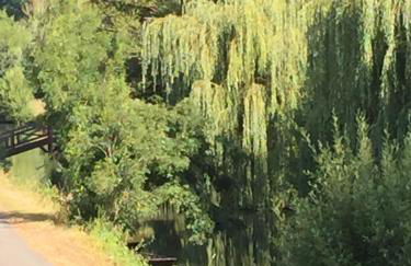 Relais Venise verte - Foto 36