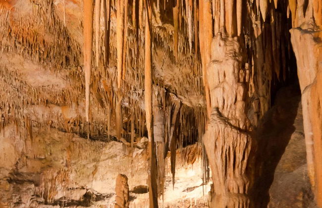 Sea Caving in Mallorca's Cova des Coloms - Photo 1