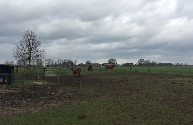 Farmhouse in Zelhem With Sauna Retreat - Foto 40