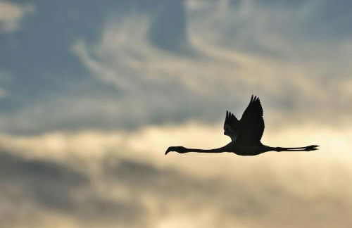 CozyHome - Cabanas - Photo 73