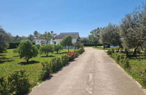 Casa en el campo cerca de sevilla - Foto 2