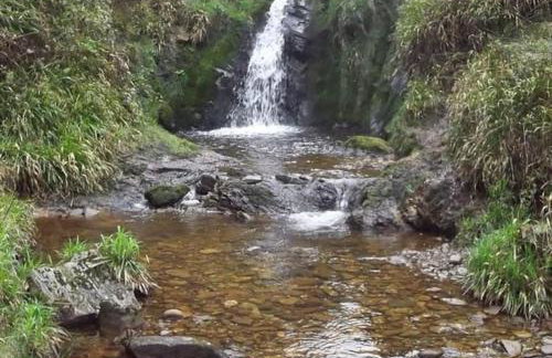 Centrally located 2 bedroom house with garden - Photo 16