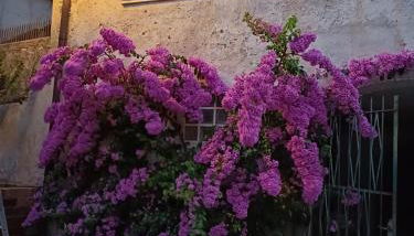 Corte Averaldo - Foto 2, Garden, Garden view