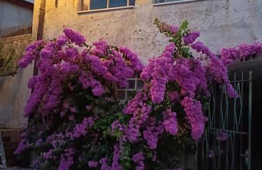 Corte Averaldo - Foto 2