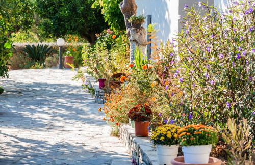 Filia Rooms & Apartments - Foto 68