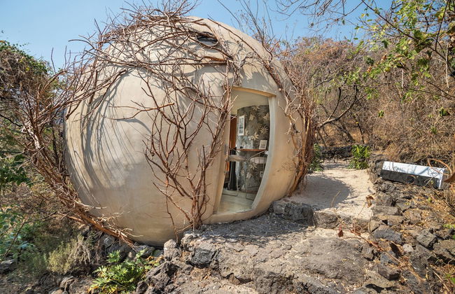 Bosque Geométrico - Foto 58