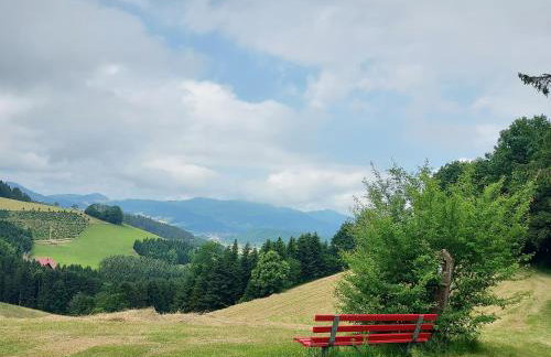 Unterer Gurethshof - Foto 13