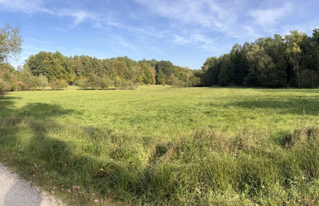 Mazurova chalupa - Foto 49