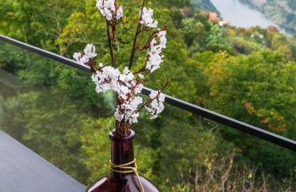 Cherry Douro Hill - Foto 18