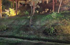 Chalé Oxossi - Foto 13