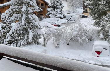 Cosy 2 pièces proche Châtel - Foto 24