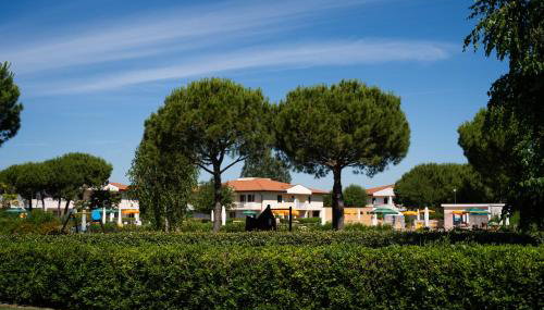 Lecci Lido Altanea - Photo 4, Garden