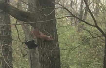 Bus atypique au bord du canal du midi et au cœur d'une forêt 2 chambres - Foto 24