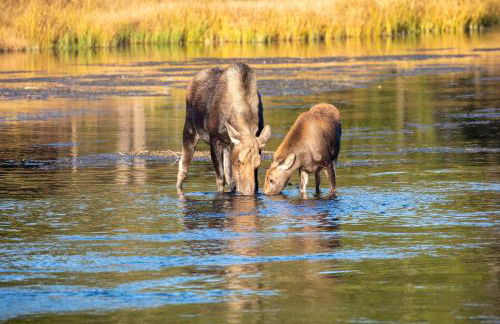 Grand View Retreat by KABINO Dogs OK Garage Huge Views FirePit Satellite WiFi - Foto 10